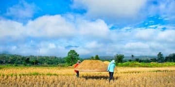 বাংলাদেশের অর্থনীতিতে কৃষির ভূমিকা: বর্তমান অবস্থা ও ভবিষ্যৎ সম্ভাবনা - Cover Image