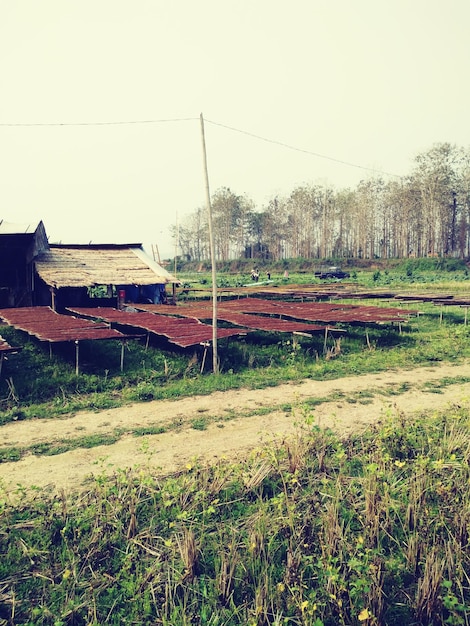 A field of solar panels in rural Bangladesh, providing electricity to a nearby village.
