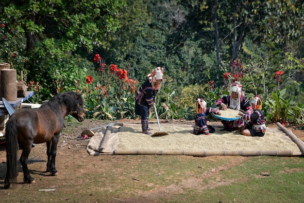 a bustling scene from a traditional Bangladeshi village, capturing daily life, the vibrant culture, and the close-knit community, offering an authentic tourism experience