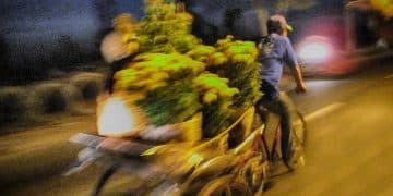 বাংলাদেশ সাইক্লিং ফেডারেশনের উদ্যোগে ২০২৫ সালের জাতীয় সাইক্লিং প্রতিযোগিতা: রুট ও পুরস্কার - Cover Image