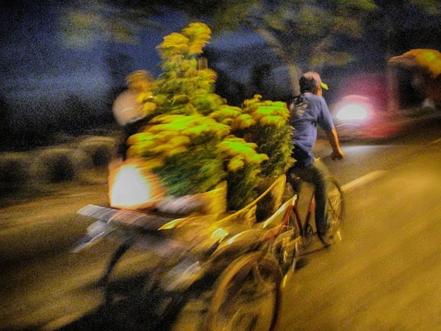 বাংলাদেশ সাইক্লিং ফেডারেশনের উদ্যোগে ২০২৫ সালের জাতীয় সাইক্লিং প্রতিযোগিতা: রুট ও পুরস্কার