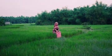 জলবায়ু পরিবর্তনের প্রভাব: ২০২৫ সালের মধ্যে বাংলাদেশের কৃষিক্ষেত্রে পূর্বাভাস - Cover Image