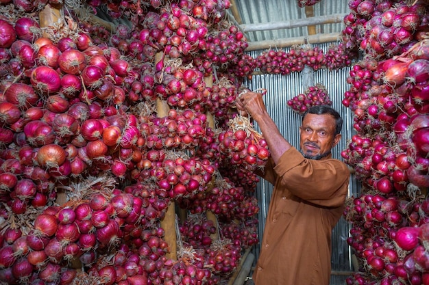 A medium shot of a food inspector in Dhaka, Bangladesh, examining fruits at a local market. The inspector is using a handheld device to test the freshness and purity of the fruits, while the vendor looks on attentively. The setting is a vibrant market scene with colorful displays of produce.